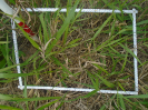 PA_2146_1_187a