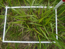 PA_2146_1_188b (2)