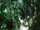 PA_2200_2_492