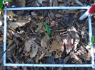 PA_2200_2_495c (2)