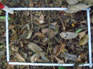 PA_2200_2_497d