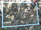 PA_2200_3_501c