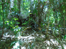PA_2200_4_503 (2)