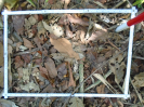 PA_2200_4_506c