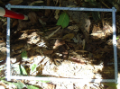 PA_2200_4_507d (2)