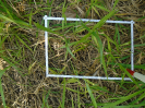 PA_2201_3_317d (2)