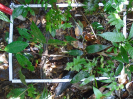 PA_2233_2_1035a
