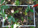 PA_2233_2_1036b