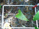 PA_2233_2_1037c