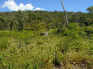 PA_2234_4_1000