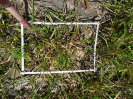 PA_2234_4_1001a