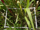 PA_2234_4_1004d