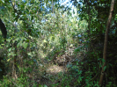 PA_2236_3_714