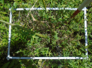 PA_2236_3_716b