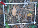 PA_2236_3_718d