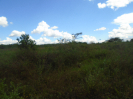 PA_2236_4_719