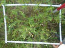 PA_2236_4_721b