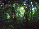 PA_2291_1_667