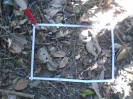 PA_2291_1_668a