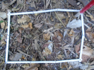 PA_2291_1_669b