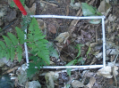 PA_2291_1_671d
