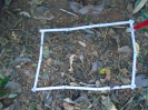 PA_2291_2_675c