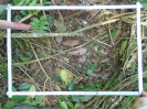 PA_2291_4_14a