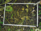 PA_2291_4_15b