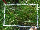 PA_2292_3_634a