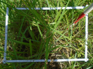 PA_2292_3_635b