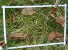 PA_2292_3_636c