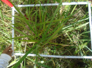 PA_2292_3_637d