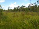 PA_2292_4_638