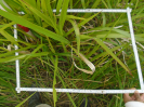 PA_2292_4_639a