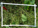 PA_2293_1_371d