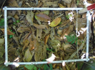 PA_2293_2_375c