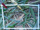 PA_2293_2_376d