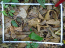 PA_2293_3_379b