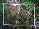 PA_2293_4_385c