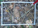 PA_2301_2_174c