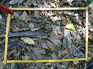 PA_2301_3_405a
