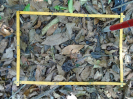 PA_2301_3_406b