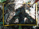 PA_2301_3_407c