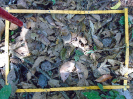 PA_2301_3_408d