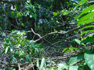 PA_2301_4_409