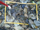 PA_2301_4_410a