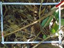 PA_2303_1_859b