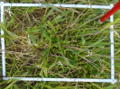 PA_2303_3_870c