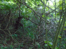 PA_2303_4_872