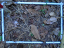 PA_2303_4_873a